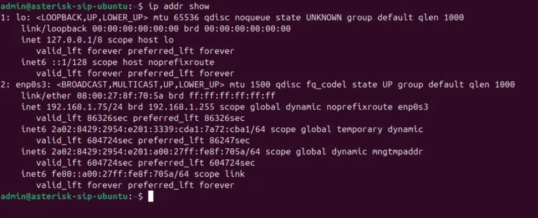 Screenshot - ip addr show